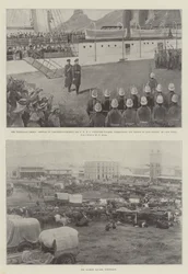 The Transvaal Crisis